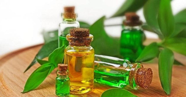 7 Jenis Obat Herbal yang Bisa di Gunakan untuk Meredakan Bintitan